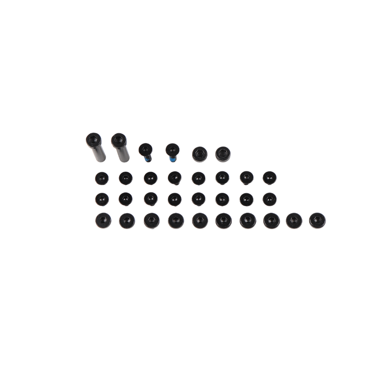 LBR BSCREWKIT 5.5.png